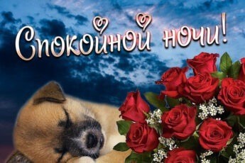 Букет цветов и милый пёсик на открытке спокойной ночи.