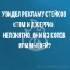 Том и Джерри