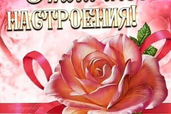 Красивая открытка отличного настроения с розой.