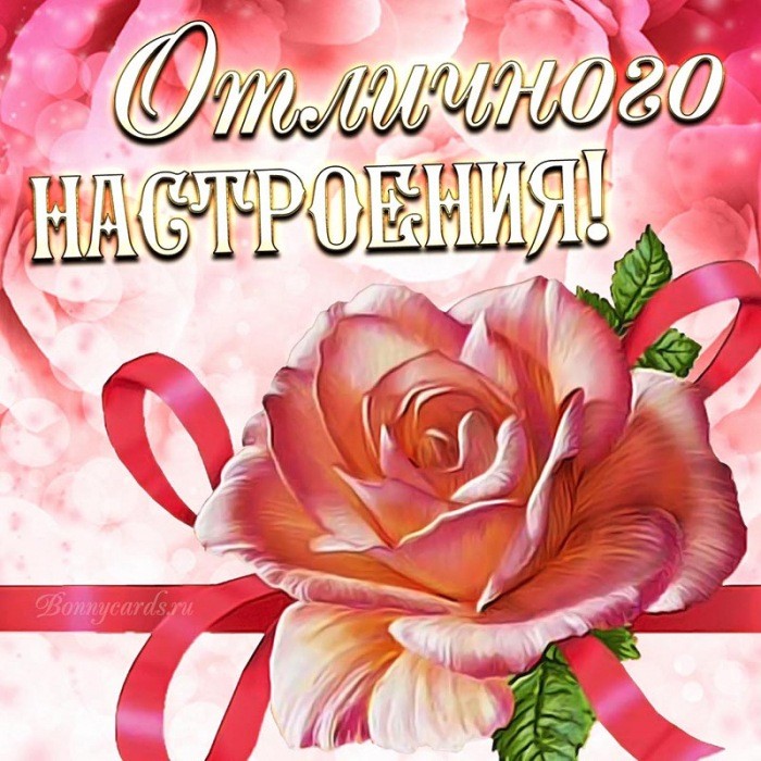 Красивая открытка отличного настроения с розой.