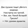 Медведь