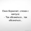 Проблемы ёжика