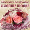 Картинка доброго дня и хорошей погоды с розами.
