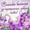Спасибо большое за прекрасные, добрые слова.