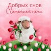 Картинка добрых снов спокойной ночи красивая весенняя