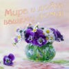 Картинка мира и добра вашему дому