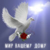 Картинка с надписью мир вашему дому