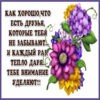 Открытка о дружбе и друзьях