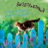 Открытка выздоравливай котик