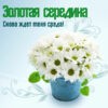 Прикольная картинка про реда день недели среду