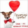 Прикольная картинка среда маленькая пятница