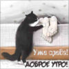 Прикольная картинка уже среда