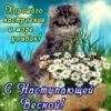 Прикольная открытка с 1 днем весны