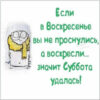 Прикольная смешная картинка про воскресенье для настроения