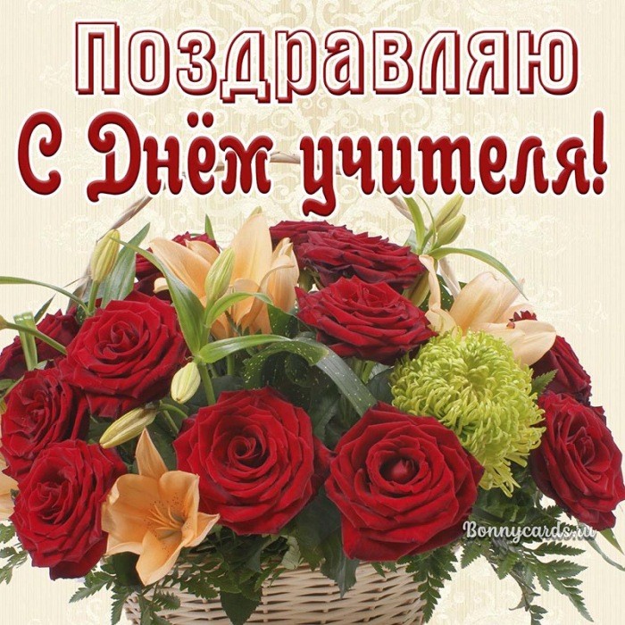 Поздравление с Днём учителя с красными розами.