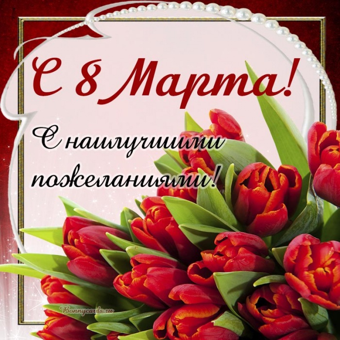 Тюльпаны на 8 марта, с наилучшими пожеланиями.