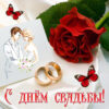 Картинка с днём свадьбы с бабочками и красной розой.
