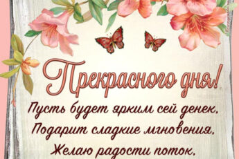 Пожелание прекрасного дня в стихах и бабочки.