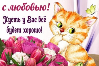 Прикольная открытка для друзей с котом и цветами.