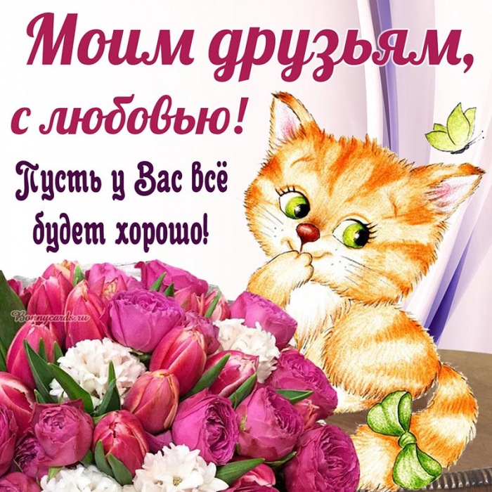 Прикольная открытка для друзей с котом и цветами.