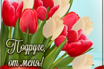 Красивые тюльпаны, бант и надпись - подруге, от меня.
