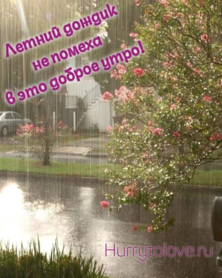 Летний дождь картинки с добрым утром: красивые открытки с надписями