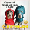 Чудесная открытка с пятницей