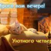 Картинки добрый вечер четверга: прикольные и красивые открытки с надписями