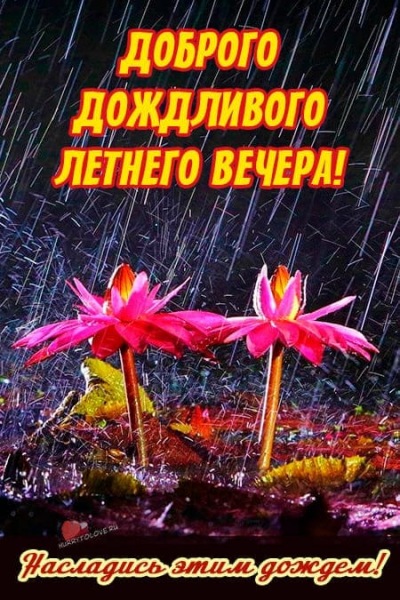 Добрый вечер в летний дождь красивые картинки: пожелания в открытках