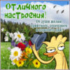 Смешная открытка отличного настроения
