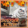 Милая картинка добрый вечер