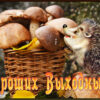 Сказочная картинка хороших выходных