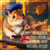 Очаровательная картинка со средой