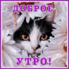 Очаровательная октрытка доброе утро