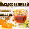 Открытка выздоравливай и никогда не болей
