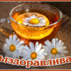 Открытка выздоравливай с ромашками