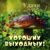 Смешная картинка хороших выходных