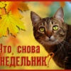 Смешная картинка снова понедельником