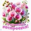 Чудесная открытка прекрасного настроения