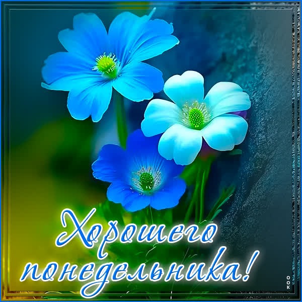 Интересная открытка хорошего понедельника