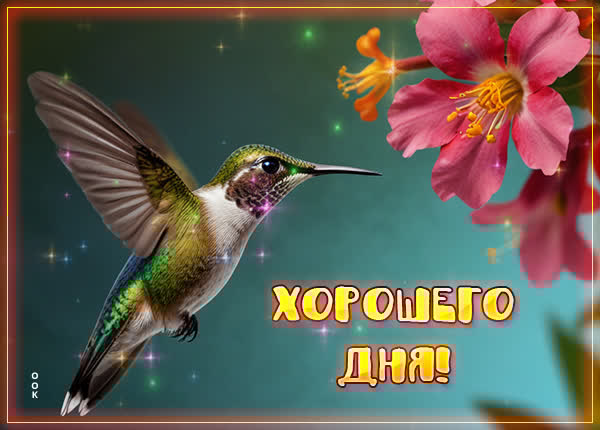 Изысканная открытка хорошего дня