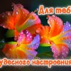 Нежная открытка для тебя