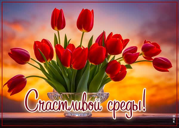 Семейная открытка счастливой среды