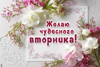 Светлая открытка желаю чудесного вторника