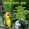 Теплая открытка прекрасного дня