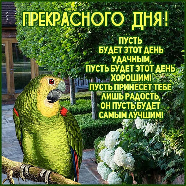 Теплая открытка прекрасного дня
