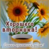 Творческая открытка самых приятных забот