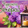 Забавная открытка чудесного вечера