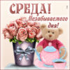 Заботливая открытка среда