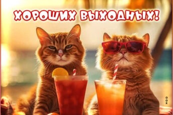 Чудесная картинка хороших выходных